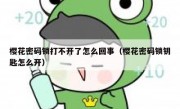 樱花密码锁打不开了怎么回事（樱花密码锁钥匙怎么开）