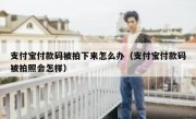 支付宝付款码被拍下来怎么办（支付宝付款码被拍照会怎样）