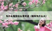 为什么推特这么受欢迎（推特为什么火）