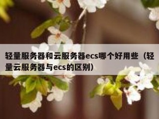 轻量服务器和云服务器ecs哪个好用些（轻量云服务器与ecs的区别）