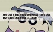 微信公众号的粉丝和视频号的粉丝（微信公众号的粉丝和视频号的粉丝一样吗）