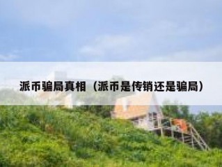 派币骗局真相（派币是传销还是骗局）