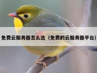 免费云服务器怎么选（免费的云服务器平台）