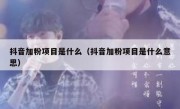 抖音加粉项目是什么（抖音加粉项目是什么意思）