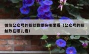 微信公众号的粉丝数据在哪里看（公众号的粉丝数在哪儿看）
