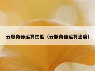 云服务器运算性能（云服务器运算速度）