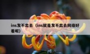 ins发不出去（ins就是发不出去网络好着呢）