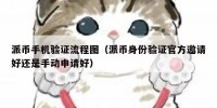 派币手机验证流程图（派币身份验证官方邀请好还是手动申请好）