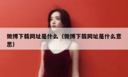 微博下载网址是什么（微博下载网址是什么意思）