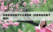 抖音粉丝团是干什么用的呢（抖音粉丝团是干啥的）