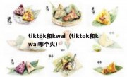tiktok和kwai（tiktok和kwai哪个火）