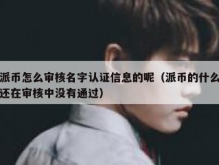 派币怎么审核名字认证信息的呢（派币的什么还在审核中没有通过）