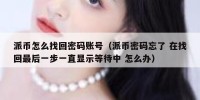 派币怎么找回密码账号（派币密码忘了 在找回最后一步一直显示等待中 怎么办）