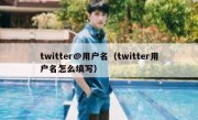 twitter@用户名（twitter用户名怎么填写）