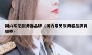 国内常见服务器品牌（国内常见服务器品牌有哪些）
