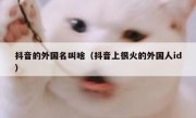 抖音的外国名叫啥（抖音上很火的外国人id）