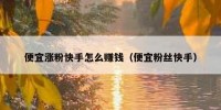 便宜涨粉快手怎么赚钱（便宜粉丝快手）