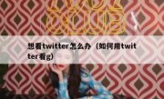 想看twitter怎么办（如何用twitter看g）