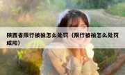 陕西省限行被拍怎么处罚（限行被拍怎么处罚咸阳）