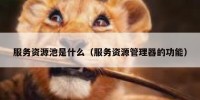 服务资源池是什么（服务资源管理器的功能）