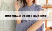 服务器知名品牌（中国最大的服务器品牌）
