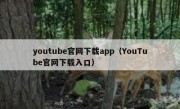 youtube官网下载app（YouTube官网下载入口）