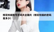樱花校园账号密码大全图片（樱花校园的密码是多少）