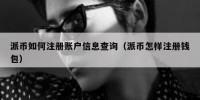 派币如何注册账户信息查询（派币怎样注册钱包）