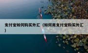 支付宝如何购买外汇（如何用支付宝购买外汇）