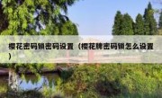 樱花密码锁密码设置（樱花牌密码锁怎么设置）