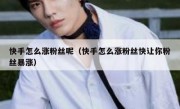 快手怎么涨粉丝呢（快手怎么涨粉丝快让你粉丝暴涨）