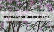 云服务器怎么初始化（云服务器初始用户名）