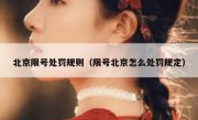 北京限号处罚规则（限号北京怎么处罚规定）