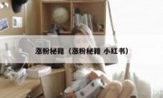 涨粉秘籍（涨粉秘籍 小红书）