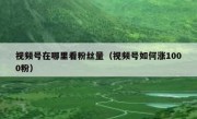 视频号在哪里看粉丝量（视频号如何涨1000粉）
