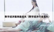 数字经济服务器龙头（数字经济行业龙头）