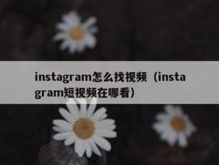instagram怎么找视频（instagram短视频在哪看）