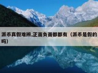 派币真假难辨,正面负面都都有（派币是假的吗）