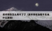 派币钱包怎么用不了了（派币钱包加载不出来什么原因）