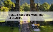 tiktok买东西可以支付宝吗（tiktoksim购买）