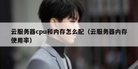 云服务器cpu和内存怎么配（云服务器内存使用率）