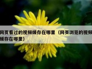 网页看过的视频缓存在哪里（网页浏览的视频缓存在哪里）