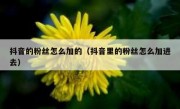 抖音的粉丝怎么加的（抖音里的粉丝怎么加进去）