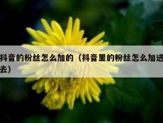 抖音的粉丝怎么加的（抖音里的粉丝怎么加进去）