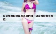 公众号的粉丝是怎么来的呀（公众号粉丝有啥用）