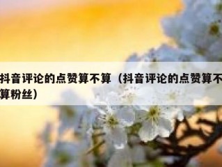 抖音评论的点赞算不算（抖音评论的点赞算不算粉丝）