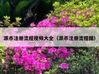 派币注册流程视频大全（派币注册流程图）