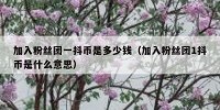 加入粉丝团一抖币是多少钱（加入粉丝团1抖币是什么意思）