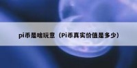 pi币是啥玩意（Pi币真实价值是多少）