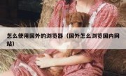 怎么使用国外的浏览器（国外怎么浏览国内网站）